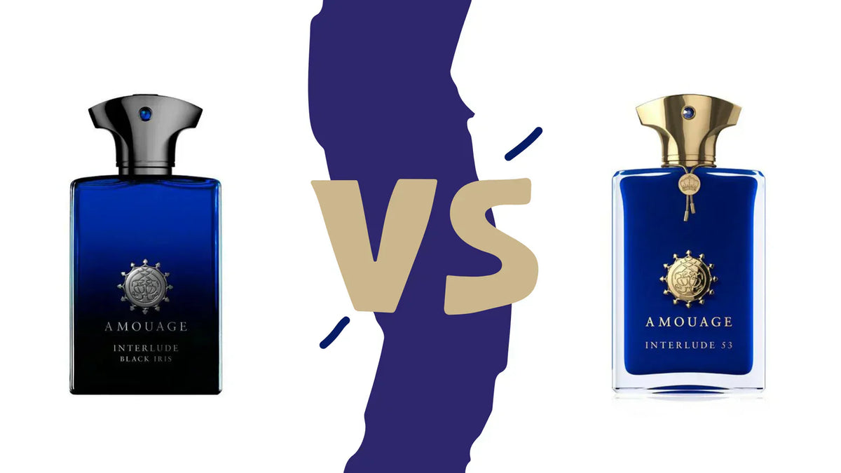 Interlude 53 vs. Interlude Black Iris by Amouage | Scentrique