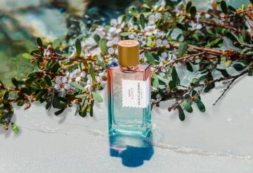 Pacific Rock Flower by Goldfield & Banks