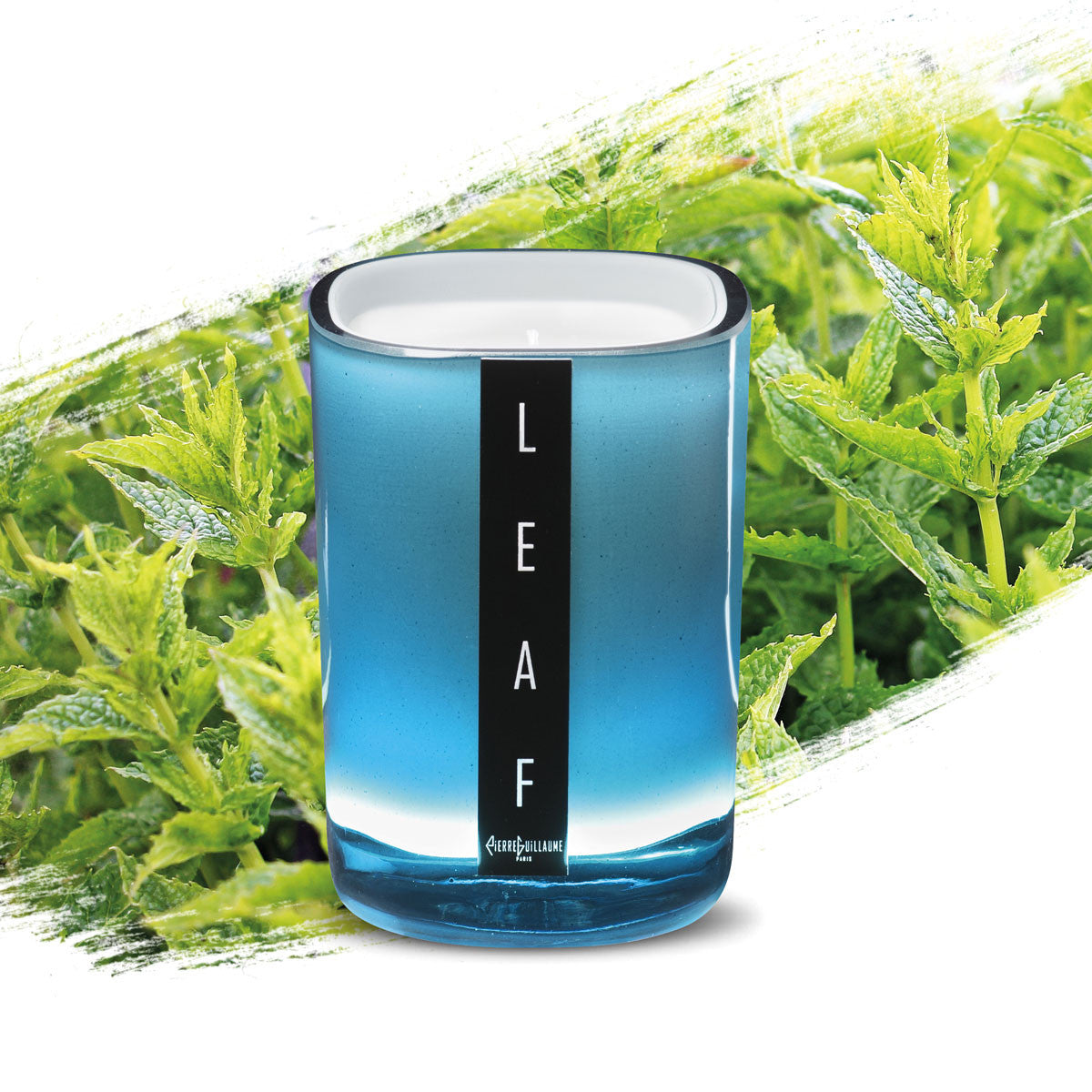 Leaf Candle 240g by Pierre Guillaume Paris