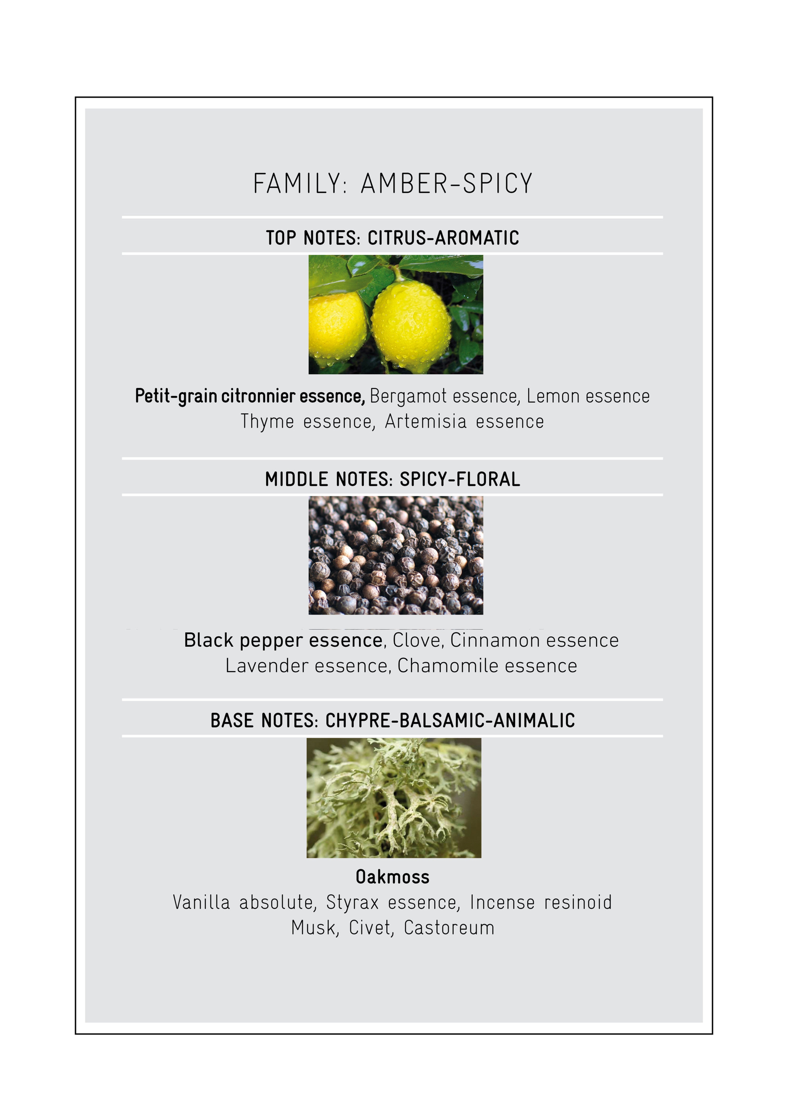 New York Intense by Nicolai Parfums