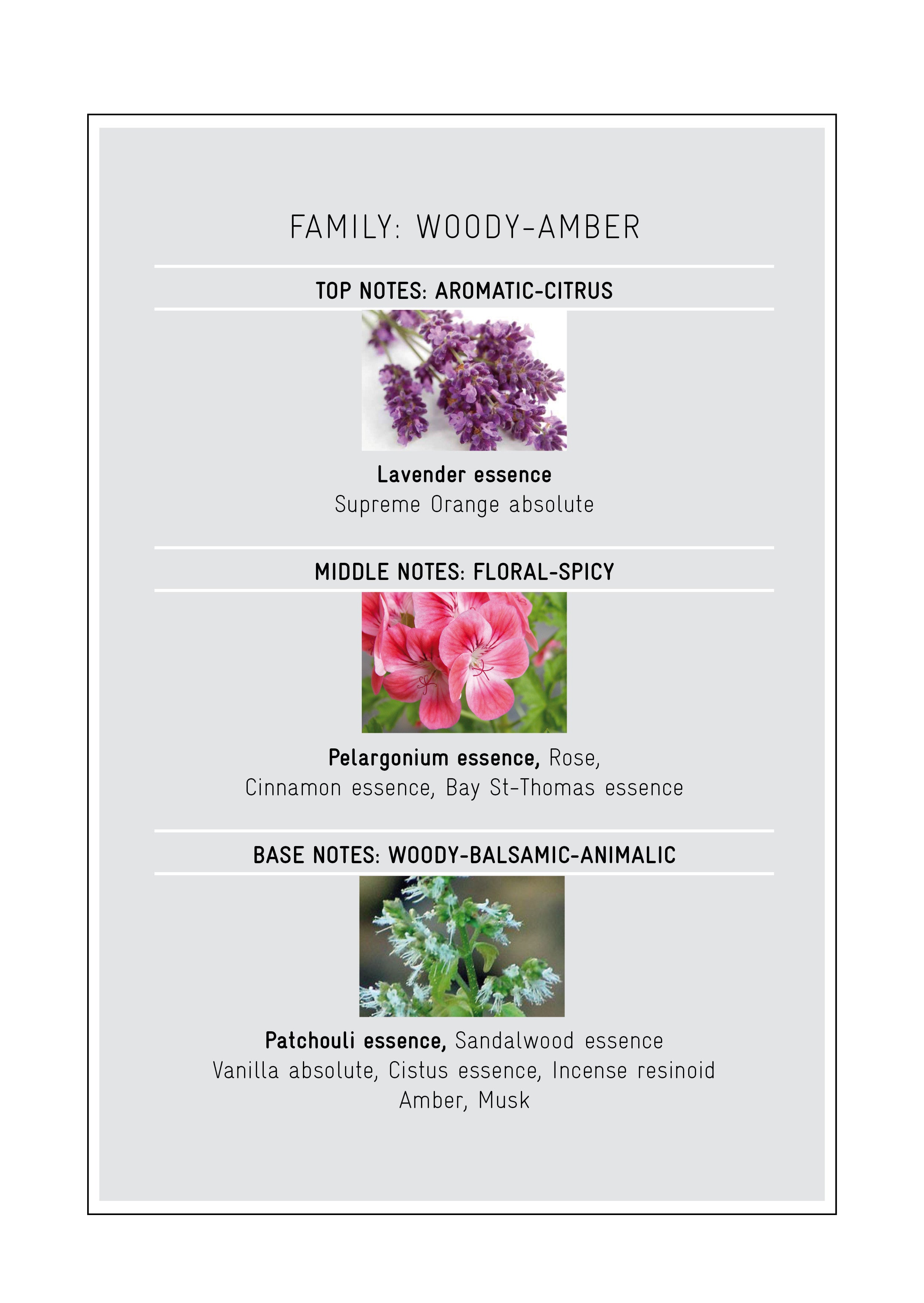 Patchouli Intense by Nicolai Parfums