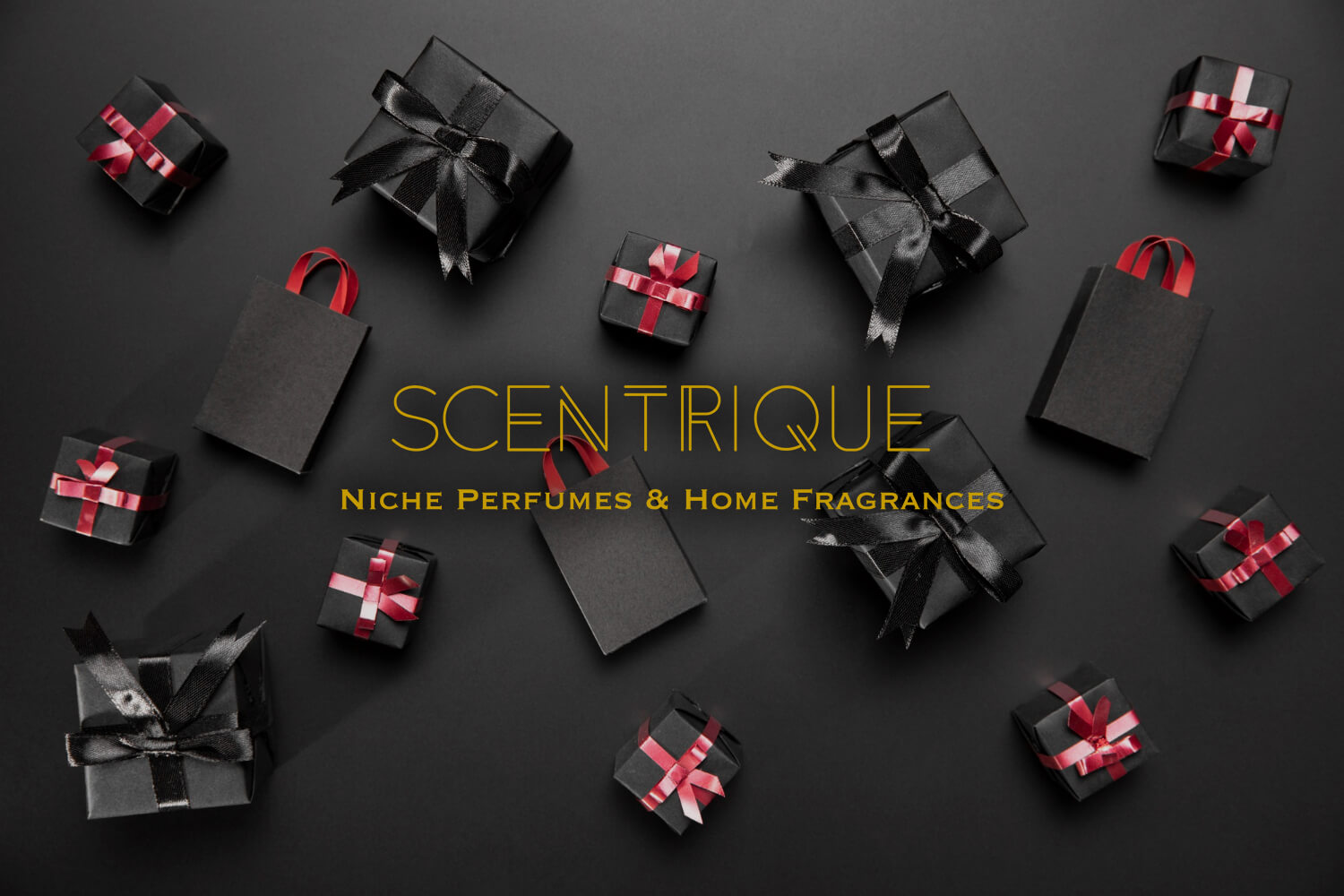 Black Friday Gift Guide 2025 at Scentrique Niche Perfumes