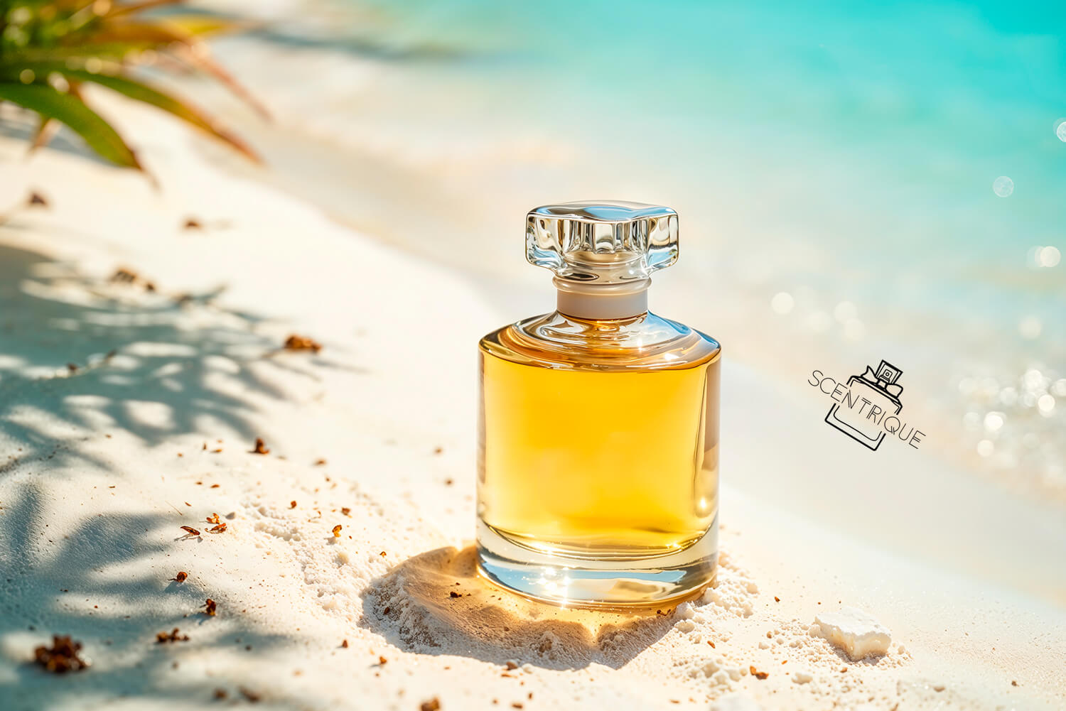 Best Summer Fragrances for Women in 2026 | Scentrique USA