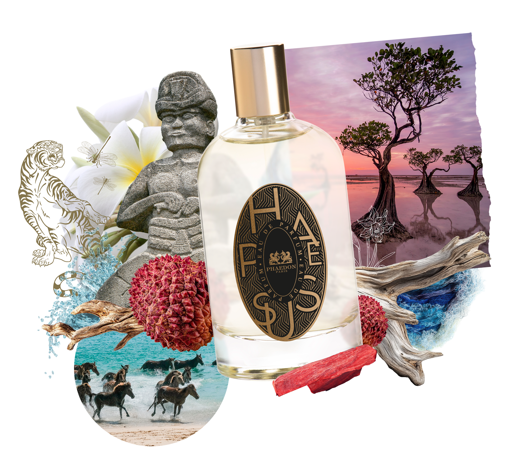 Phaesus by Phaedon Paris