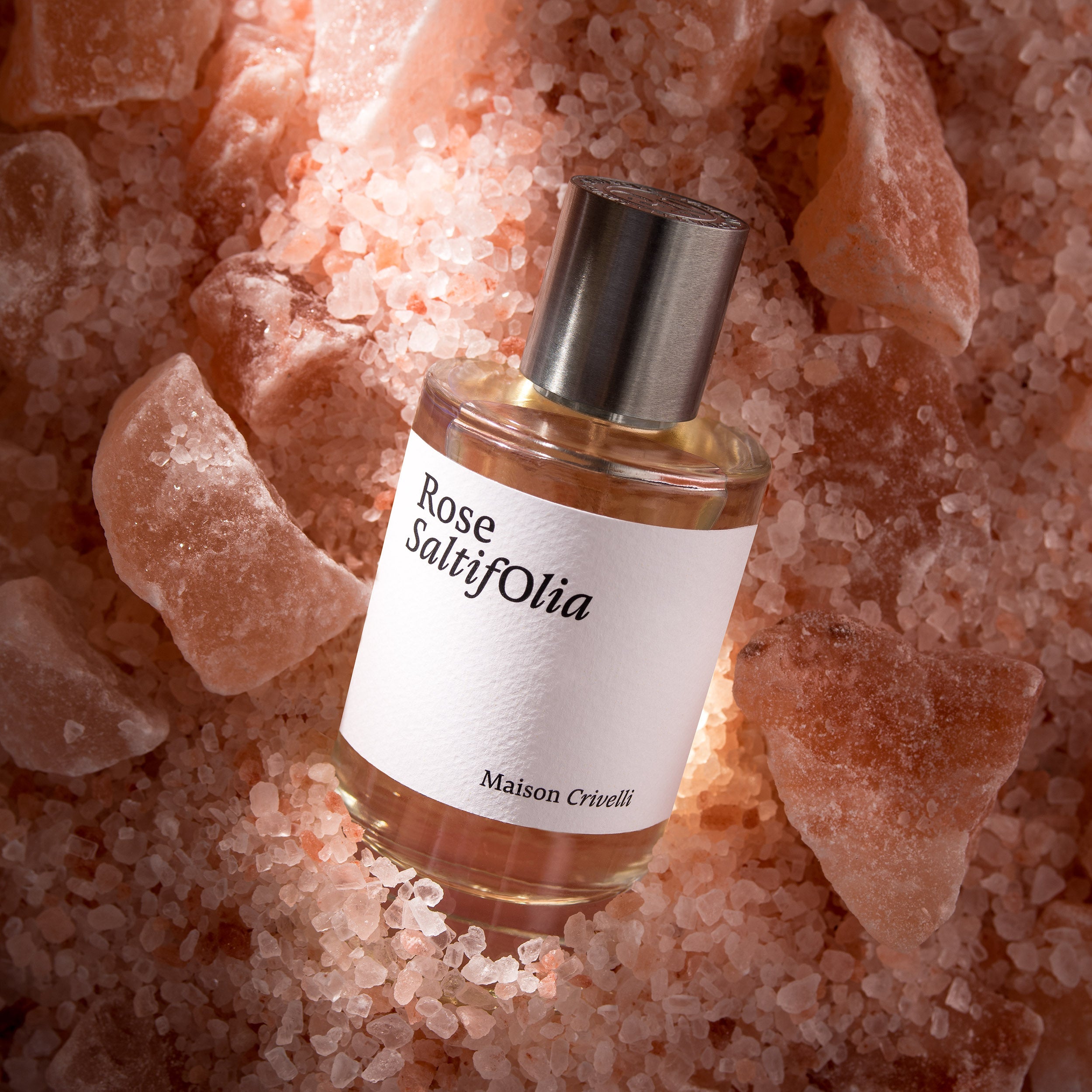 Rose Saltifolia EDP by Maison Crivelli | Scentrique