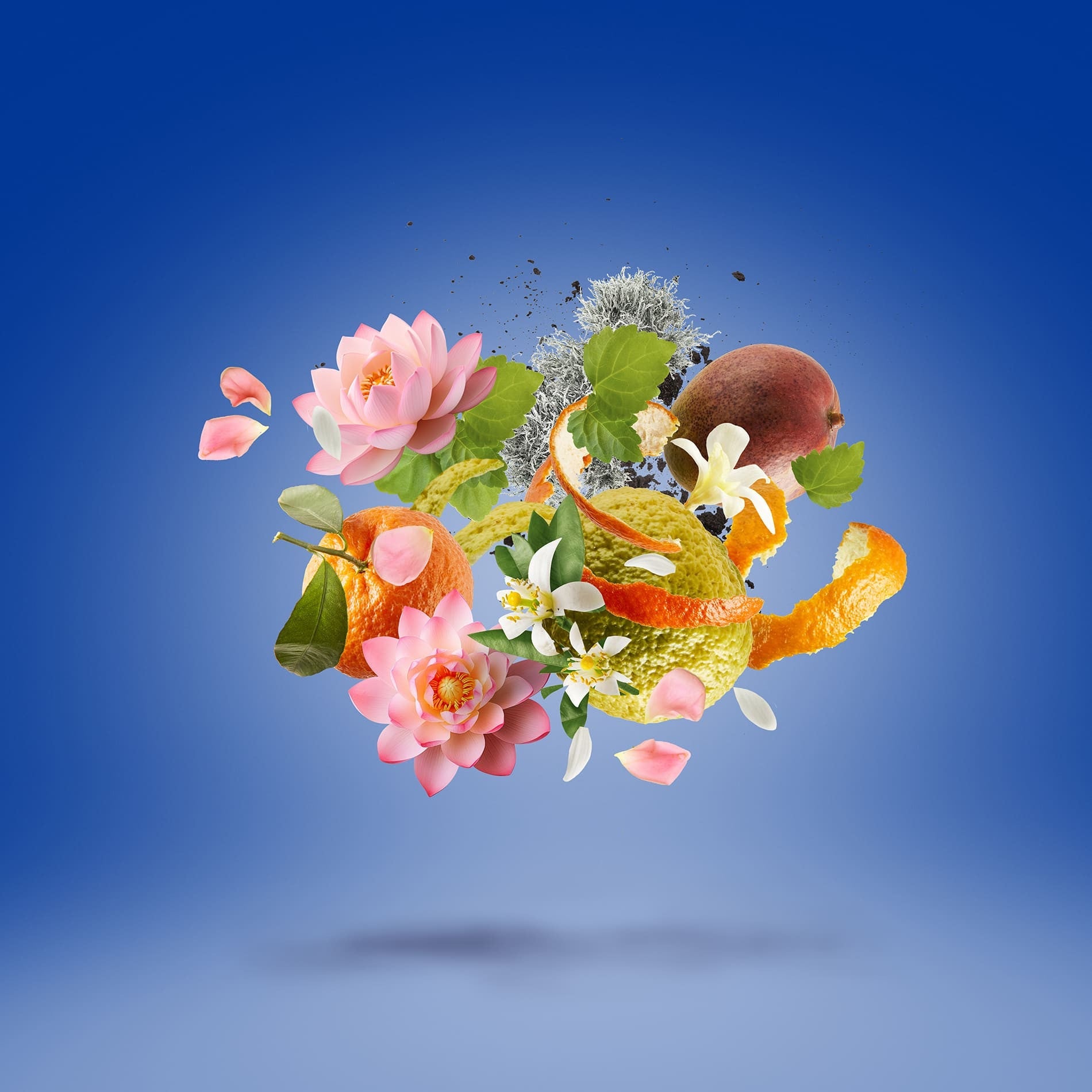 Torino 24 by Xerjoff