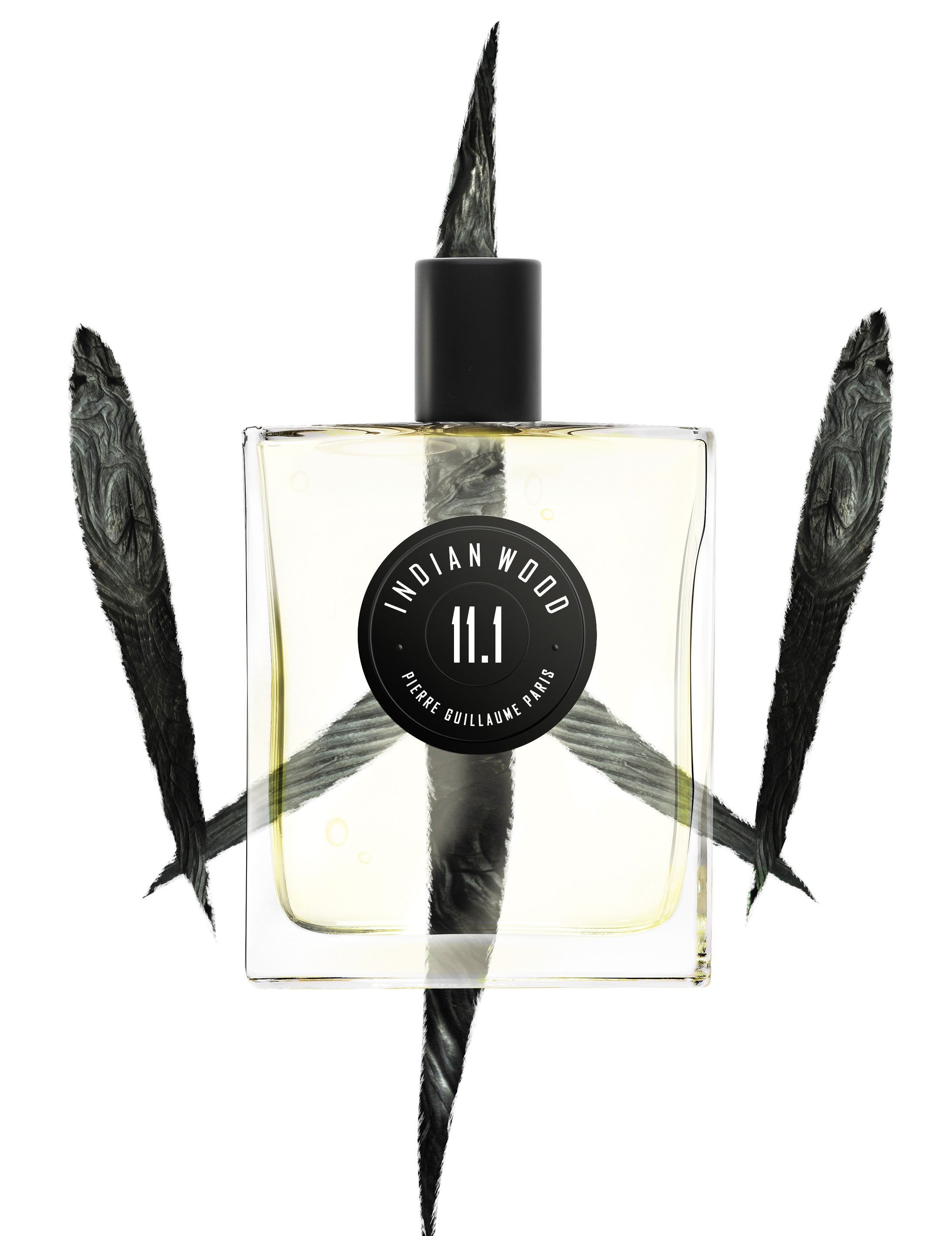 11.1 Indian Wood by Pierre Guillaume Paris