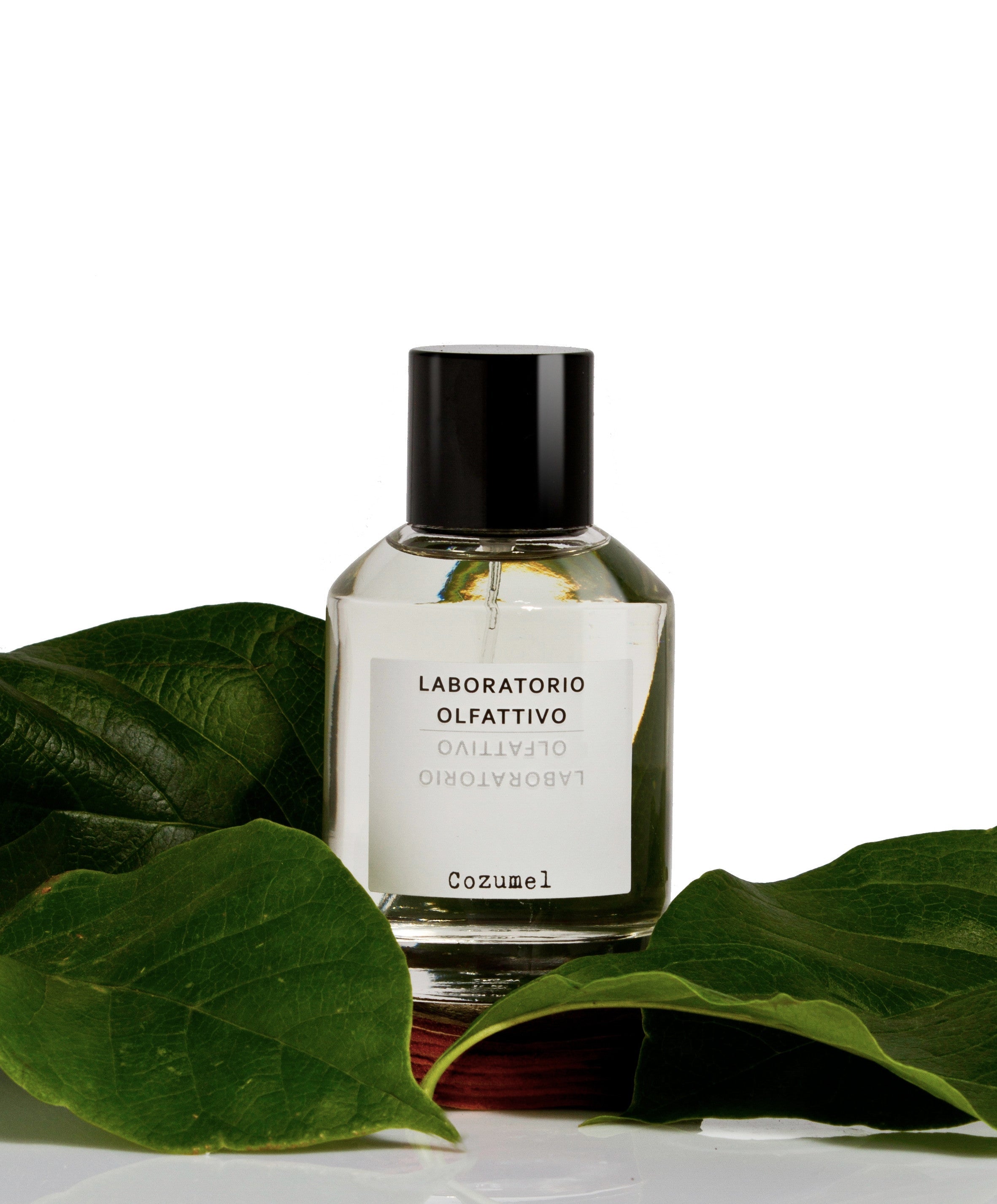 Cozumel EDP by Laboratorio Olfattivo | Scentrique Perfumes