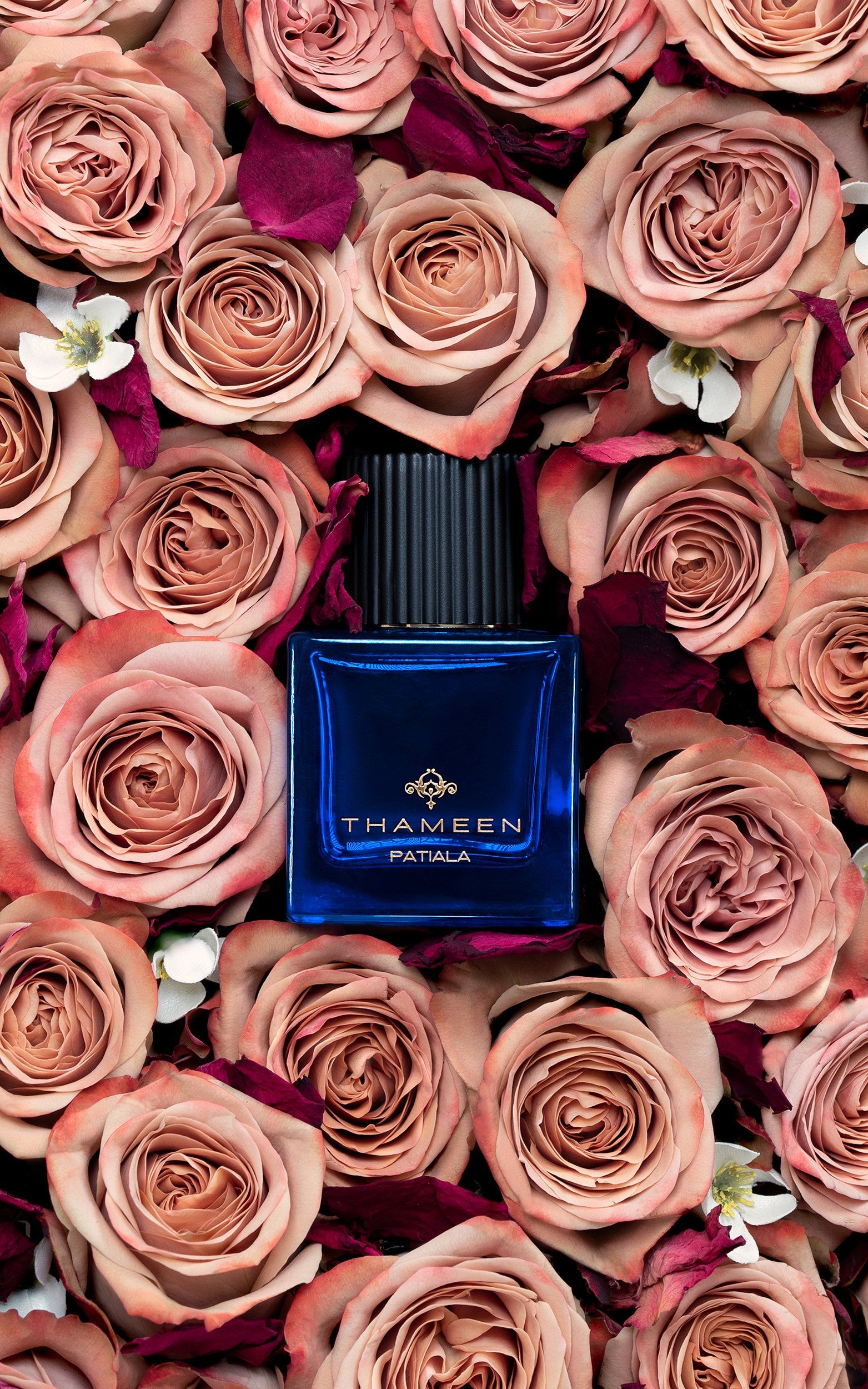 Patiala by Thameen London