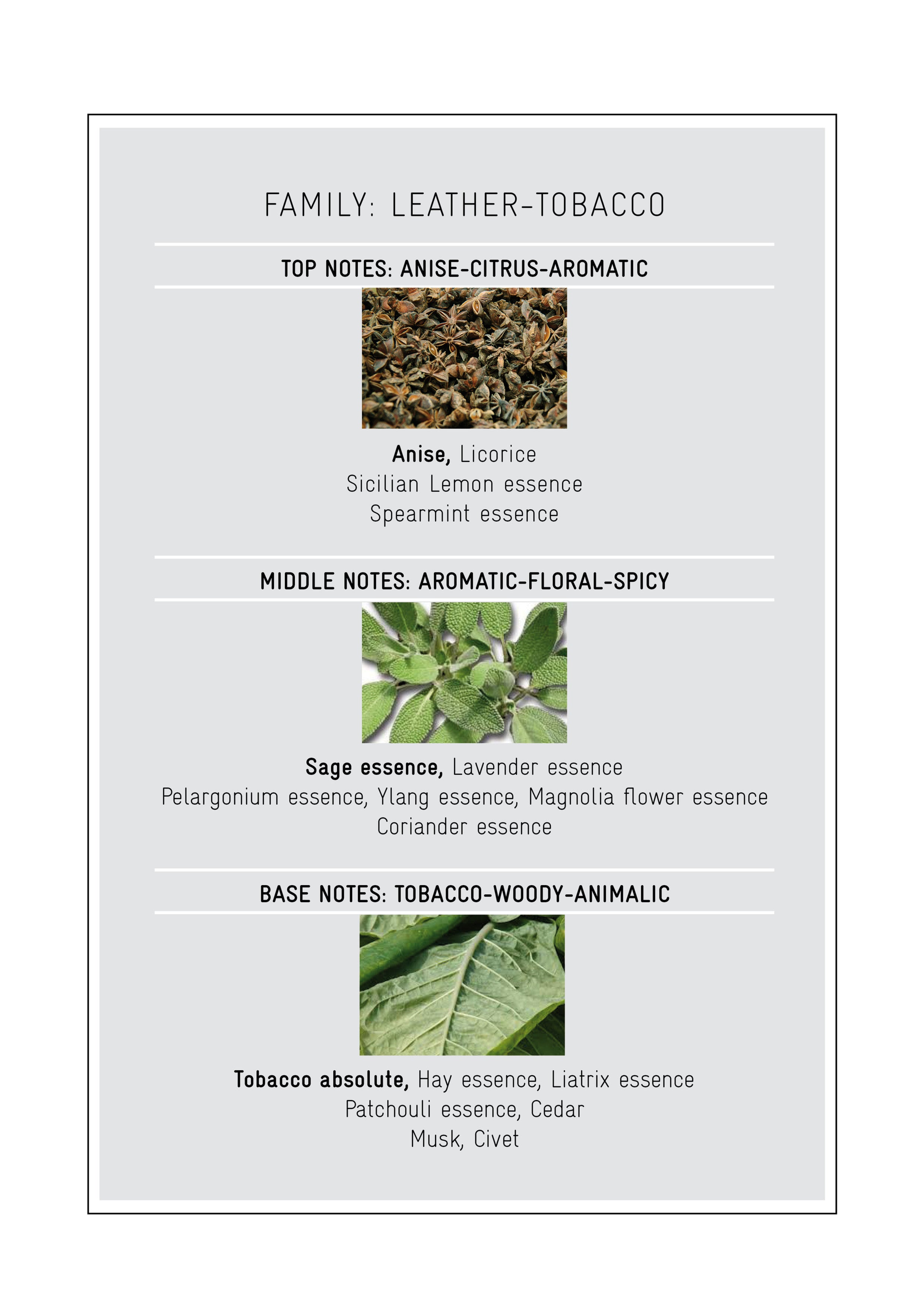 Cuir Cuba Intense by Nicolai Parfums