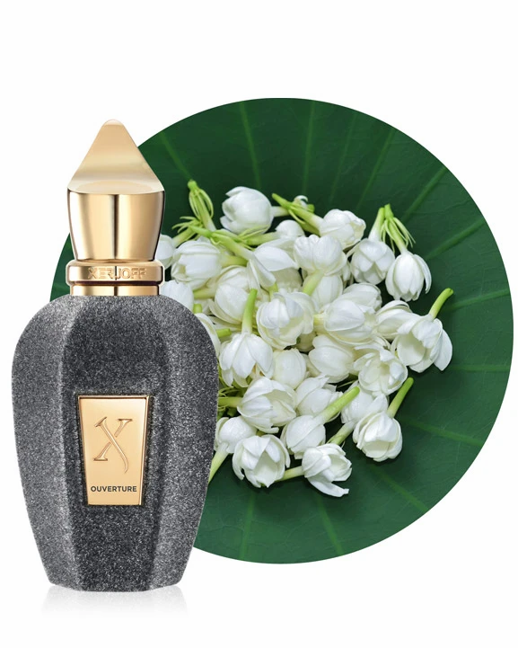 "V" Ouverture EDP by Xerjoff