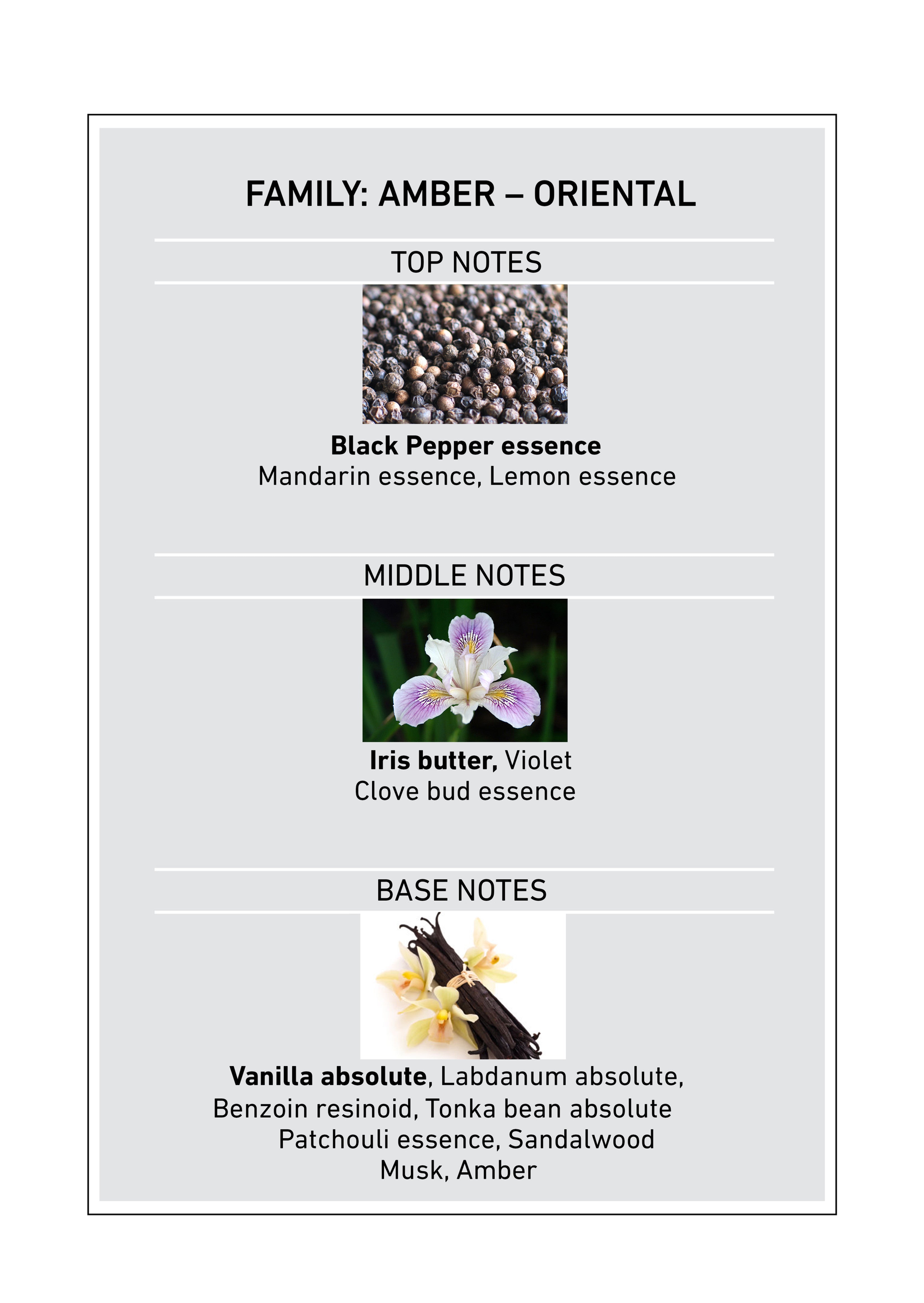 Ambre Cashmere Intense by Nicolai Parfums