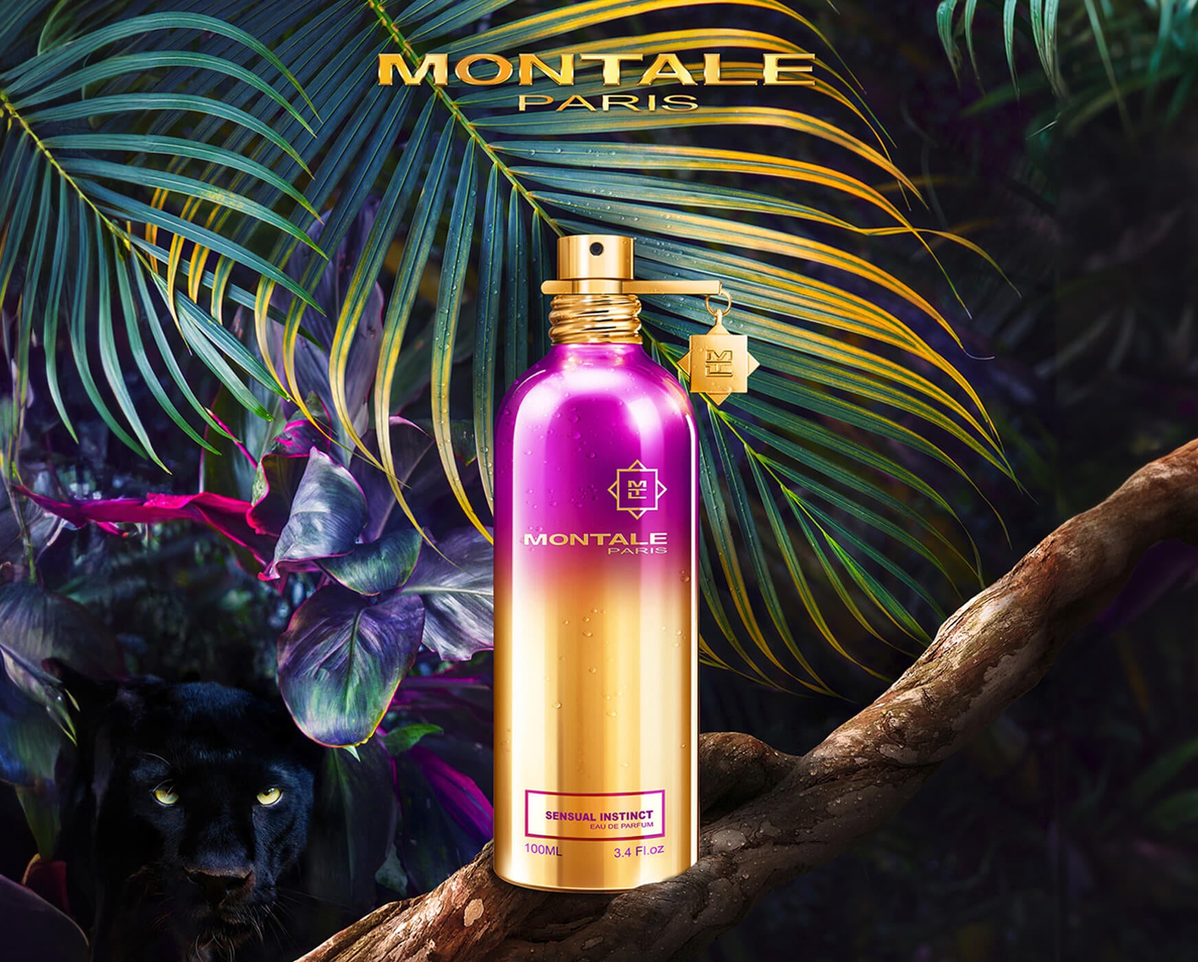 Montale Sensual Instinct Fragrance | Scentrique Niche Perfumes USA
